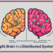 Split Brain in Distributed Systems